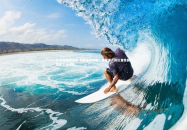 YY易游体育官网-雄鹿主场取胜，西部第一的位置稳固，雄鹿主场城市